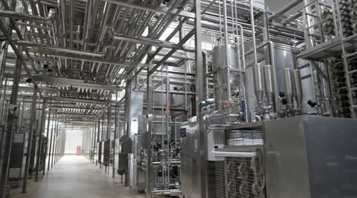 消費(fèi)品制造業(yè)高質(zhì)量發(fā)展調(diào)研行 探訪蒙牛 零碳 工廠 尋找生產(chǎn)車(chē)間里的 綠色密碼